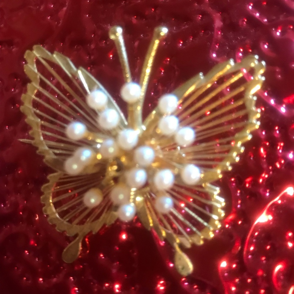 Butterfly brooch